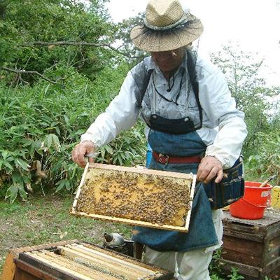 ふるさと納税 海南市 熊野古道　峠の蜂蜜2本セット |  | 01