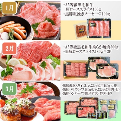 定期便(1年で10回配送)お楽しみ便(A5等級黒毛和牛・鹿籠豚(黒豚)・かご豚加工品等HH−6004【配送不可地域：離島】【1166752】