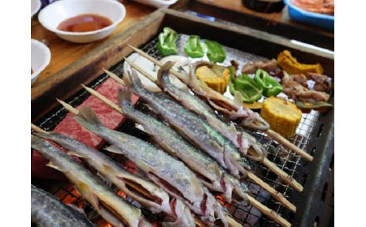 大正池グリーンパーク 渓流魚センター 共通利用券(3,000円分）BBQ バーベキュー キャンプ オートサイト 宿泊 カヤック 体験 アウトドア レジャー 夏休み 冬休み 親子 子連れ 旅行 ファミリー 学び 学習 京都 井手町  【117】