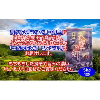 ふるさと納税 本山町 ★令和7年産★　本山町の棚田で育てられた「土佐天空の郷ヒノヒカリ」5kg |  | 02