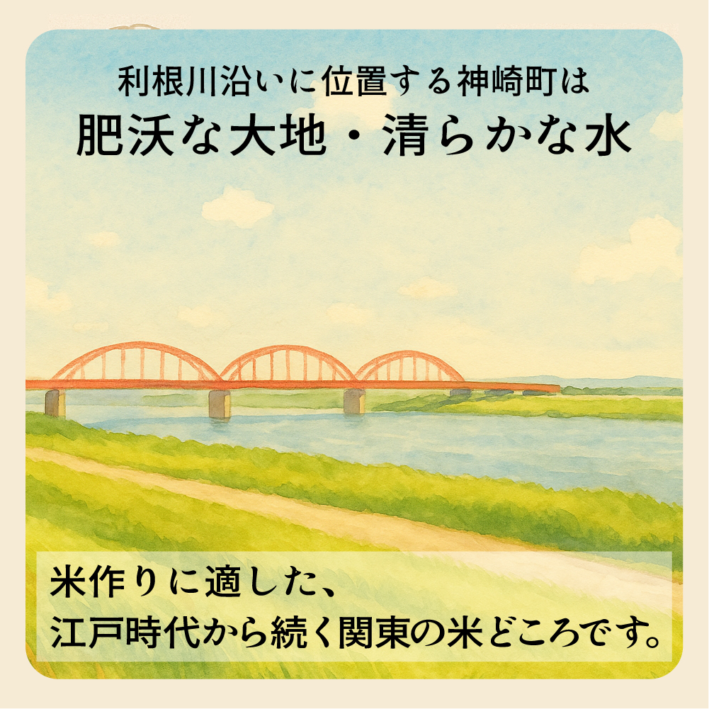 《先行予約・令和7年産新米》千葉県神崎町産ふさこがね5kg×2袋｜早場米産地の新米を食卓へ｜9月以降順次発送予定｜数量限定 [025-a003]【千葉県 神崎町 ふるさと納税】