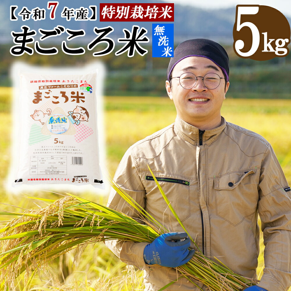 【ふるさと納税】【令和7年産先行受付】秋田県特別栽培米あきたこまち「まごころ米（無洗米）」 5kg（5kg×1袋） 【2025年産 白米 無洗米 東北産 粘り 弾力性 節約 手間なし 国産 旨み 香り 栄養 のし対応可能 お弁当 真正ファーム 秋田県 大館市 送料無料】 80P9204