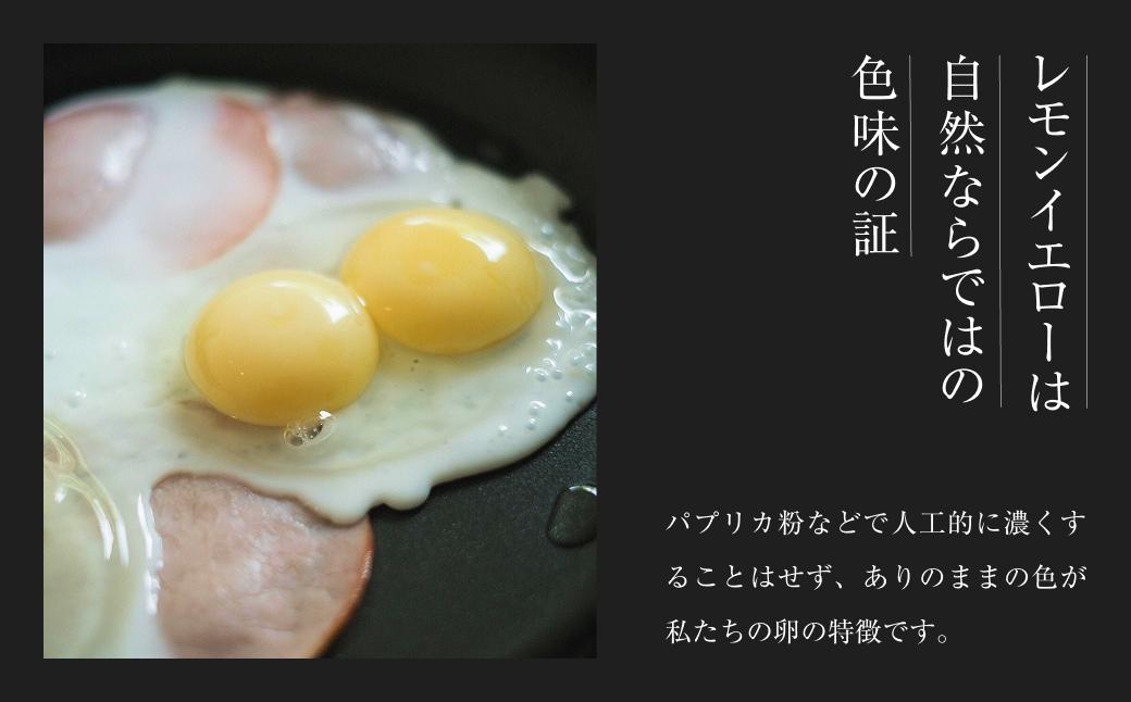 平飼い有精卵 20個《西粟倉村》【株式会社点々】t-SS-AmDA