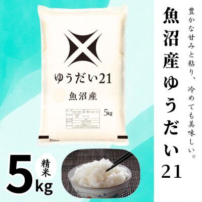ふるさと納税 十日町市 【令和7年産】魚沼産ゆうだい21(精米)5kg