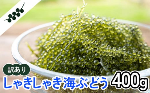 
【訳あり】しゃきしゃき海ぶどう400g
