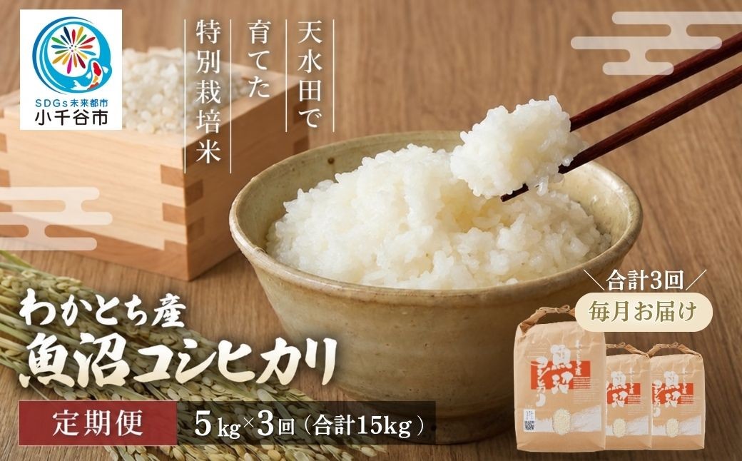 
                  【3か月定期便 コシヒカリ】令和8年産 魚沼産コシヒカリ 特別栽培米 わかとち産 棚田米 合計15kg（5kg×毎月お届け全3回）Mt.ファームわかとち | 魚沼産こしひかり 魚沼コシヒカリ 新潟県産コシヒカリ 新潟産コシヒカリ こしひかり 特別栽培米 棚田米 わかとち お米 米 白米 精米 コメ 5キロ 定期便 にいがた おぢや 新潟県 小千谷市 【0013-00016DB00】
                