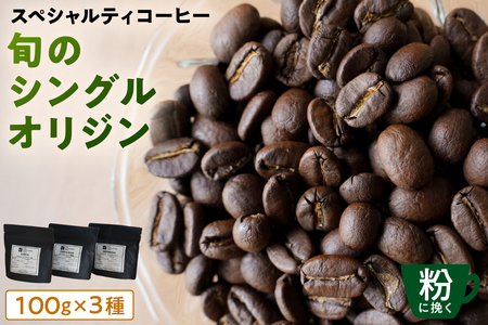 [粉に挽く]スペシャルティコーヒー 旬のシングルオリジン 100g×3種 【kt054-006-2】 ｺｰﾋｰ