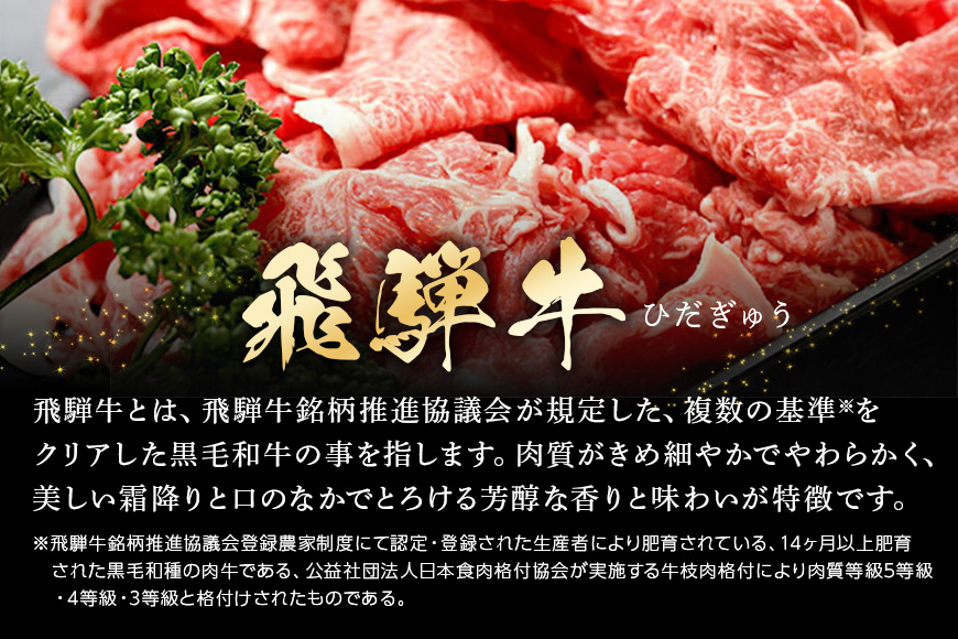 【冷蔵配送】飛騨牛 切り落とし 500g 和牛 A5 牛肉 牛丼 牛野菜炒め