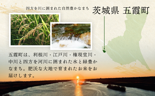 令和7年産 茨城県産 にじのきらめき 15kg（5kg×3袋） ／ お米 精米 新米 旨味 安心 美味しい 茨城県 五霞町