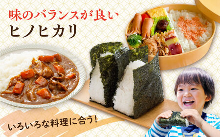 糸島産 ヒノヒカリ 10kg 糸島市 / 平山農園 米 白米 米 白米 ご飯 お米 10kg[AXN006]