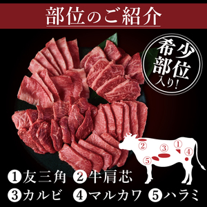 常陸牛5種焼肉セット希少部位入り　(２～３人前 500g）（NW-12）