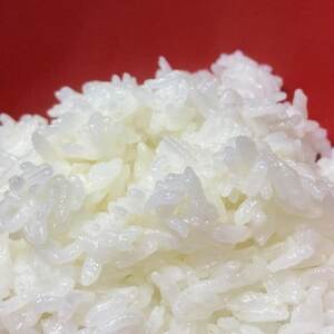 【美味しい水が育んだお米!】諸塚村産ヒノヒカリ精米5kg×4袋入【1688679】