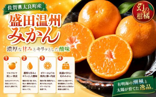新宮みかん園　希少なみかん盛田温州 （S～L）５kgみかんミカン蜜柑温州みかんふるさと納税有明海柑橘甘い果物フルーツ盛田温州新宮みかん園佐賀県太良町 M73x2【2026年12月上旬～2027年1月上旬発送予定】