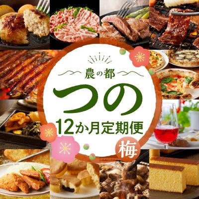 ふるさと納税 都農町 ≪3/3から寄附金額見直し予定≫≪12か月お楽しみ定期便≫都農町定期便(梅)_T999-008 | 