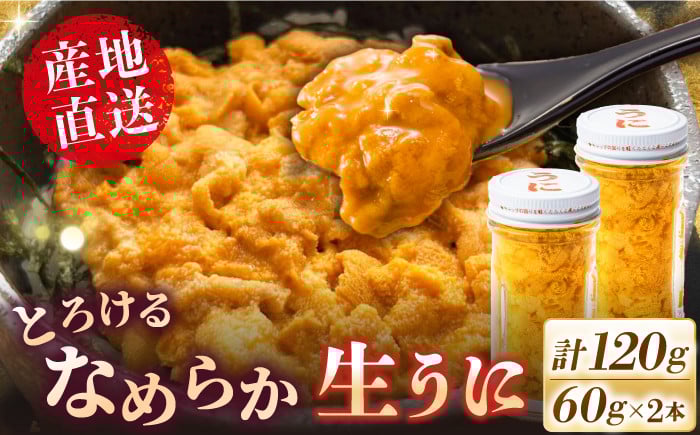 
            数量限定！ 生ウニ  壱岐の生うに 70g×2本セット《壱岐市》【大幸物産】 [JEH001]  紫うに 生うに ウニ うに 生ウニ 雲丹 ムラサキウニ 紫うに 瓶 瓶詰め ギフト 贈答 29000 29000円  のし プレゼント ギフト 冷凍配送 
          