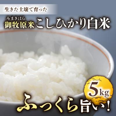 ふるさと納税 東御市 【先行受付2026年発送】長野県産!生きた土壌で育った御牧原米こしひかり 白米(八分づき)　5kg
