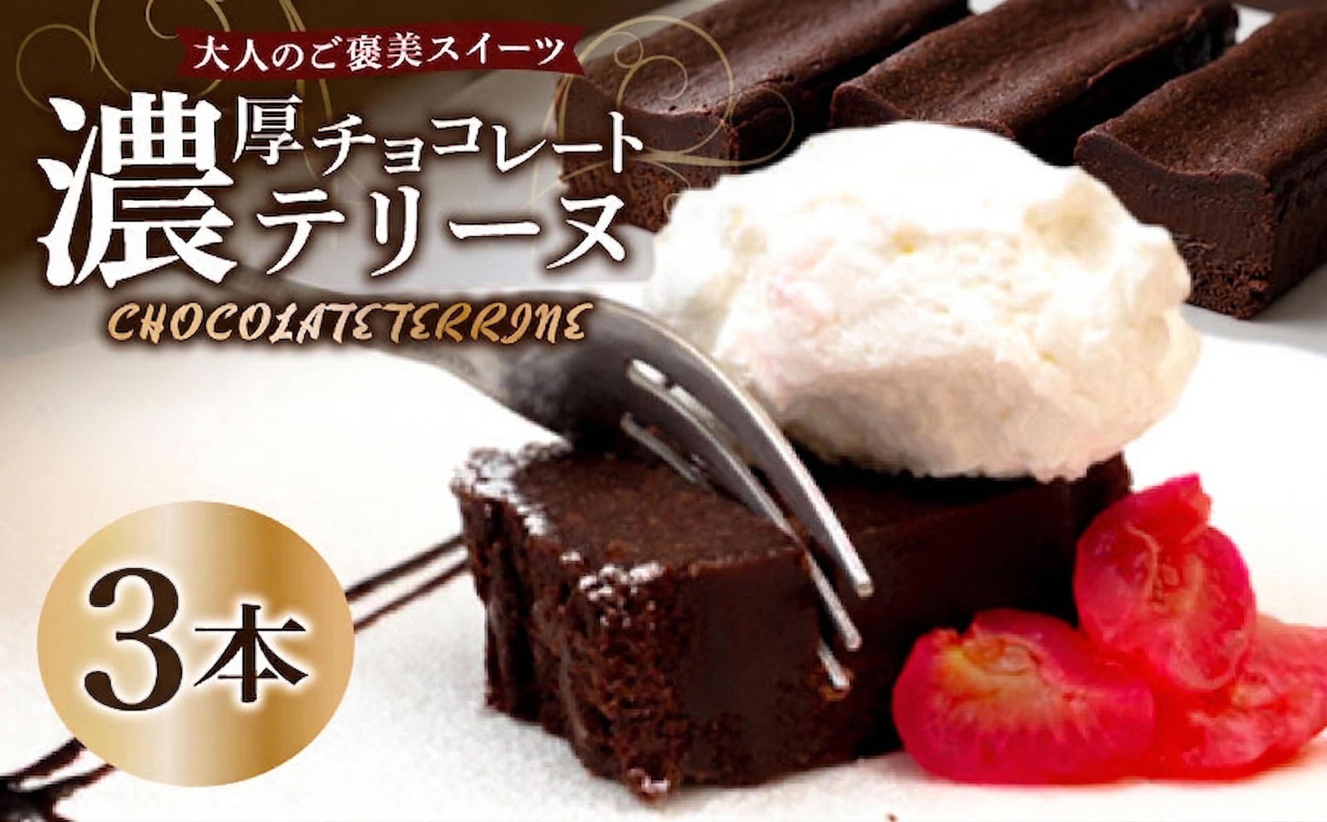 テリーヌ ショコラ 3本 バレンタインチョコ チョコレート 生チョコ ショコラ ケーキ デザート スイーツ テリーヌ 甘い おいしい 美味しい スイーツ お菓子 おやつ お土産 贈り物 お祝い 誕生日