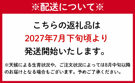 【2027年発送】【先行受付】徳之島 天城町産 完全無加温 完熟 マンゴー Ａ品 1kg 贈答