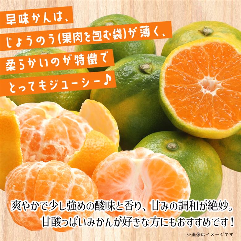 【先行受付】2025年の秋に配送！福岡県オリジナル品種極早生みかん『早味かん』約５kg＜配送不可：北海道・沖縄・離島＞