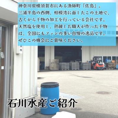 ふるさと納税 横須賀市 【訳あり】真アジの開き干物 約2.8kg(40枚前後)冷凍 |  | 02