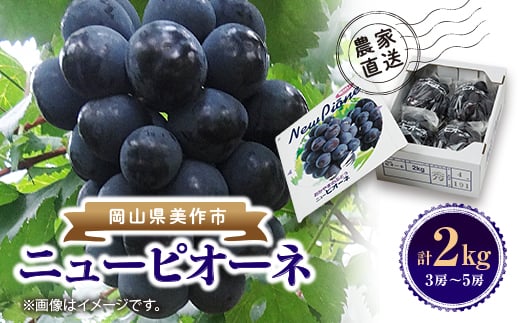 
                  ニューピオーネ　2kg(3房～5房)【1074126】
                