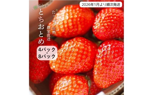 
                  【2026年1月より発送】いちご専門農家直送！朝摘み収穫したての完熟とちおとめ4パック・8パック ／ とちおとめ いちご 苺 イチゴ 完熟 果物 フルーツ 予約 先行予約 茨城県 茨城 利根町 
                