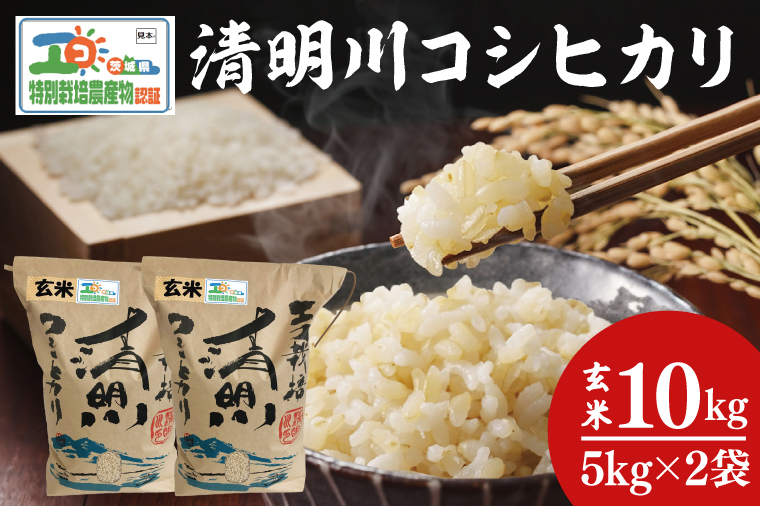 令和7年産 茨城県特別栽培認証 清明川コシヒカリ玄米 5kg×2袋【米 おこめ こしひかり  特別栽培米 農家直送 直送 茨城県 阿見町】（04-20-1）