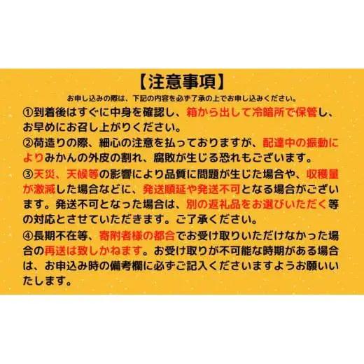 訳あり文旦 3kg