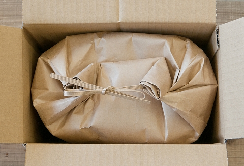 北海道米ななつぼし10kg[10月下旬以降発送] F-65009