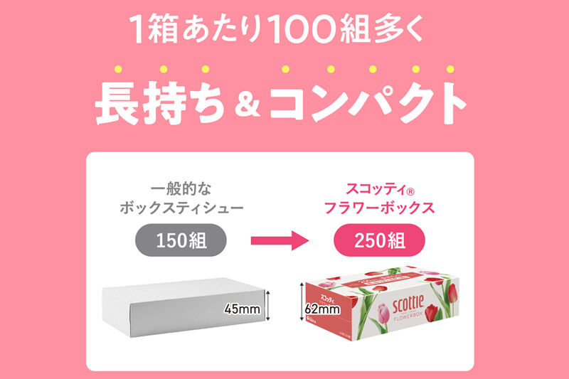 《6ヶ月ごとに2回お届け》定期便 ティッシュペーパー スコッティ フラワーボックス250組 54箱(3箱×18パック)  [ティッシュ ボックスティッシュ 定期便]