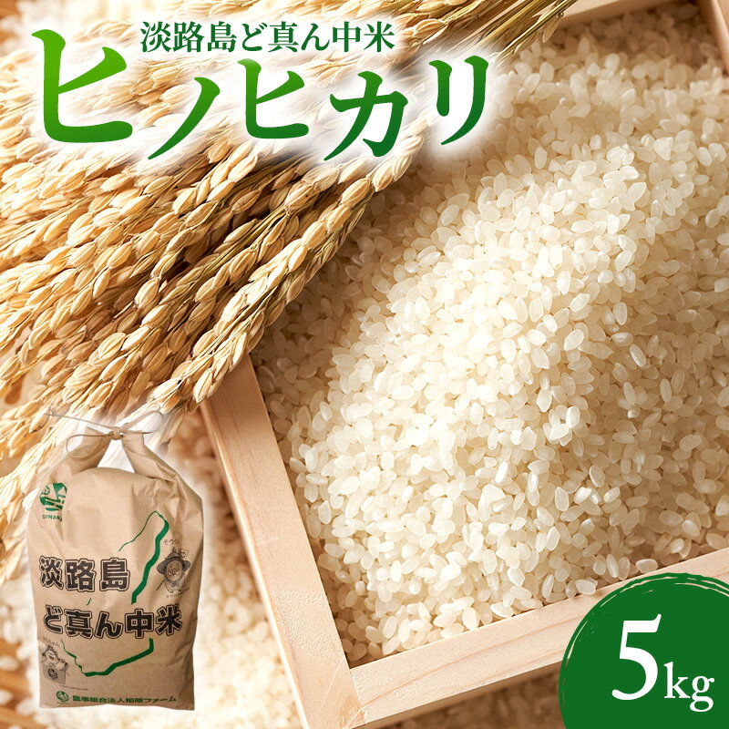 【ふるさと納税】令和7年度産 淡路島 ど真ん中米 ヒノヒカリ 5kg 米 ひのひかり 精米 精白米 鮎原米 兵庫県 洲本市 淡路島　お届け：2025/11/1～2026/1/31