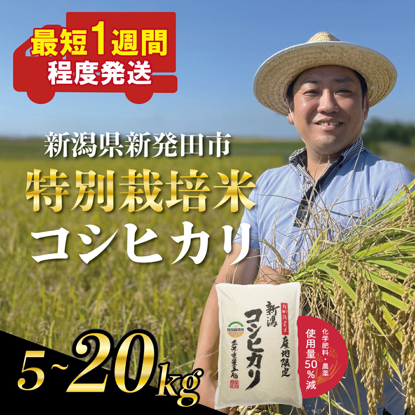 【ふるさと納税】 新潟県産 特別栽培米 コシヒカリ 5kg 10kg 20kg 選べる 配送月 容量 令和7年産 こしひかり 特栽米 米 新米 月岡 温泉 お米 こめ ご飯 ごはん おいしい 単品 新潟米 新潟 新潟県 新発田産 新潟産 朝食 昼食 夕飯 炊きたて 精米 watasho004P