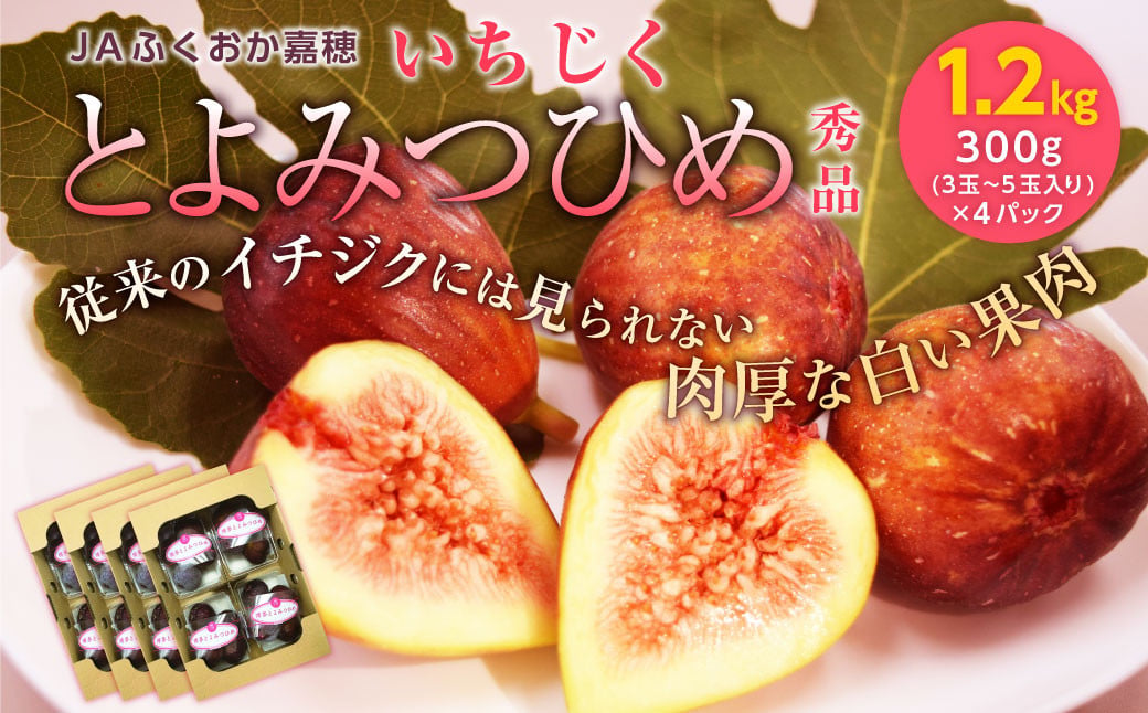 
                  JAふくおか嘉穂 いちじく とよみつひめ 秀品 300g（3～5玉）×4パック 計1.2kg 【2026年8月上旬～10月下旬発送予定】
                
