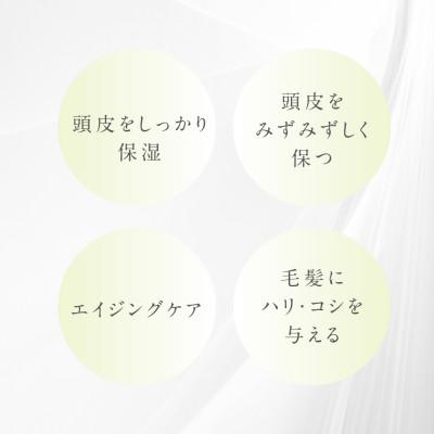 ふるさと納税 富田林市 プテロ　ARシャンプー 300ml |  | 02