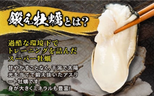 【3月31日（水）着】生牡蠣 むき身 500g 江田島市／有限会社寺本水産 [XAE001-060]