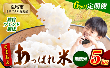 【6ヶ月定期便】 熊本県産 くまもとあっぱれ米 5kg  熊本県産 ふるさと納税  無洗米 精米 米 こめ ふるさとのうぜい コメ お米 おこめ《お申し込み月の翌月から出荷開始》