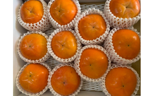 
富有柿 赤秀品 2Lサイズ 化粧箱（11個）
