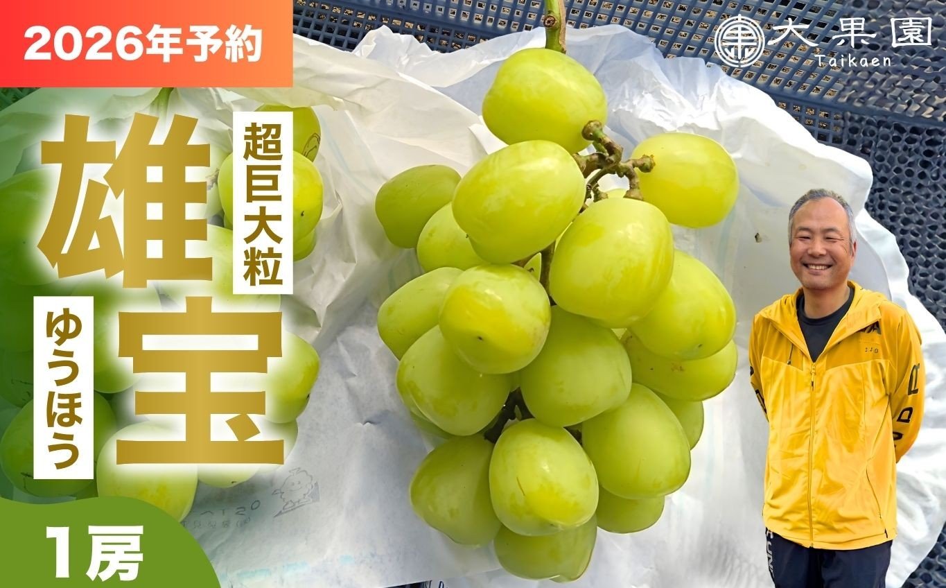 
            【2026年予約】巨大粒葡萄 雄宝（ゆうほう）旬の竹原葡萄 1房 古田大果園 フルーツ 果物 広島県産 ※2026年8月下旬～9月下旬頃に順次発送予定 ※離島への配送不可
          