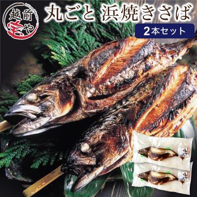 ふるさと納税 福井市 浜焼きサバ　丸ごと串刺し2本入