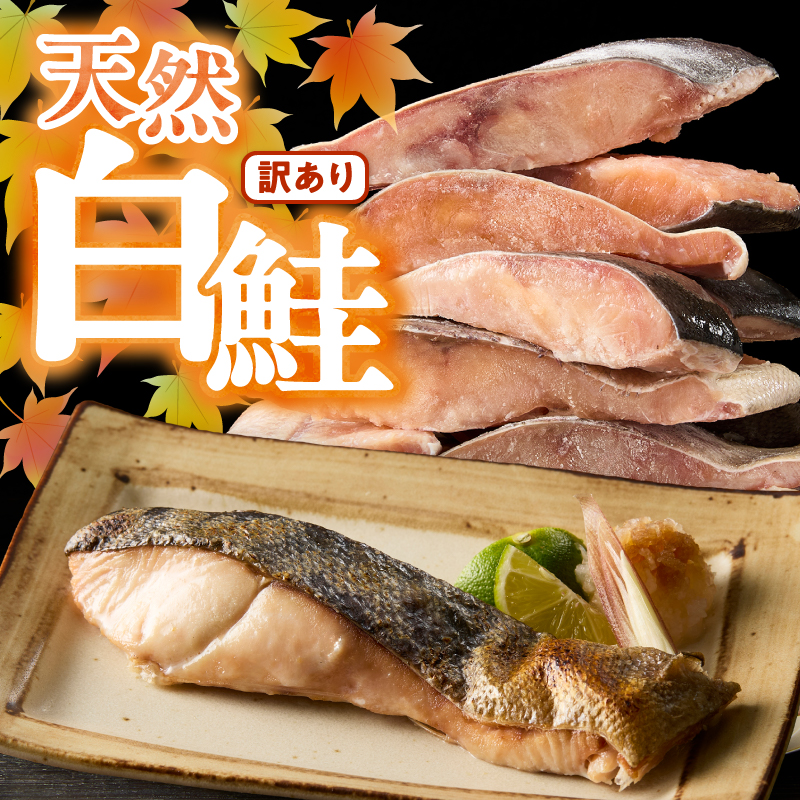 a20-488　訳あり！ 天然 白鮭 甘口 切身 約3kg 便利なジッパーバック入り