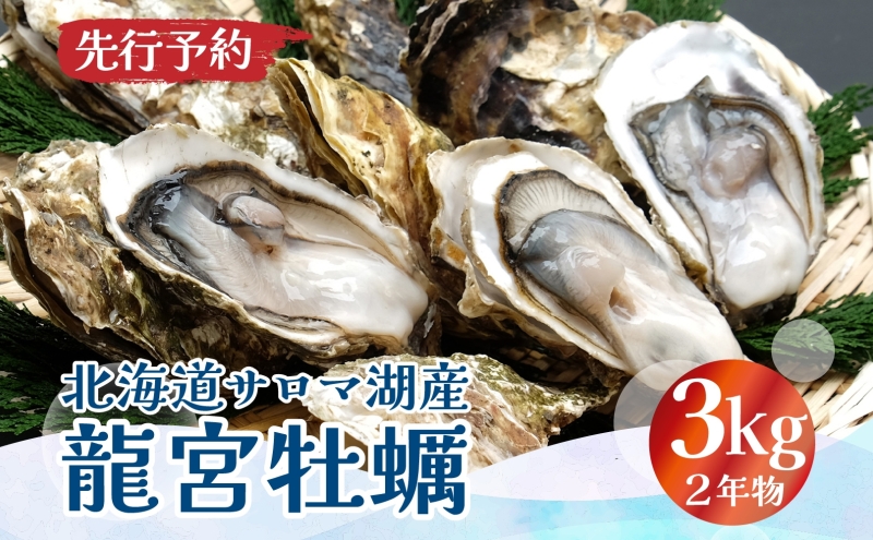 先行予約 先行予約北海道 サロマ湖産 龍宮牡蠣 3kg（ 2年物 殻付き カキ ）カキナイフ付 牡蠣 海鮮 魚介 国産 貝付き 生牡蠣 生食 焼き牡蠣 蒸し牡蠣 冷蔵 産地直送 オホーツク 