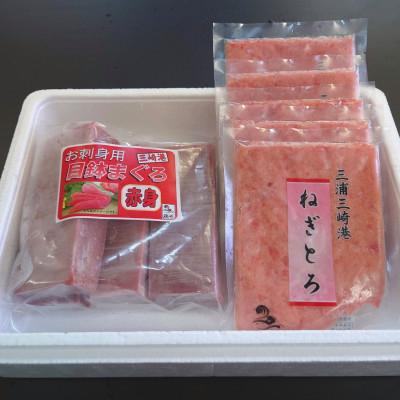 ふるさと納税 三浦市 三崎の天然まぐろ赤身800g・ねぎとろ100g×5パック(500g)セット |  | 02
