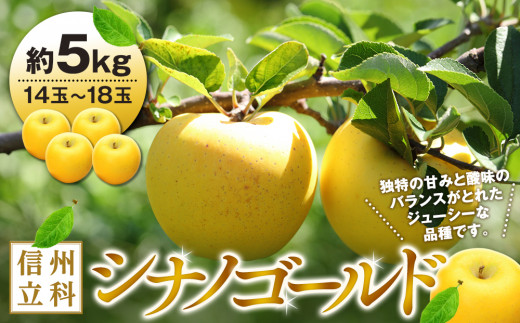 シナノゴールド（約5kg、優14～18玉）