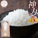 【ふるさと納税】令和6年産 米 神力 5kg | お米 白米 こめ ご飯 ごはん おにぎり 国産 お取り寄せ 人気 おすすめ 食品 宮城