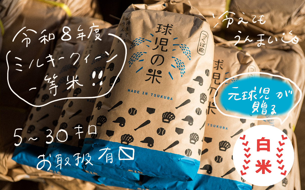 令和8年産 一等米 球児の米 （ ミルキークイーン ） 精米 30kg | 米 こめ コメ お米 ご飯 5kg 10kg 20kg 30kg 精米 白米 ミルキークイーン おすすめ 茨城県 つくば市