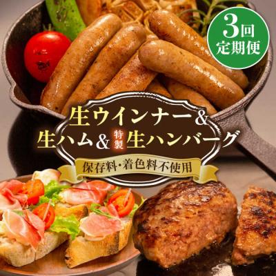 ふるさと納税 糸島市 【全3回定期便】特製 生ハンバーグ 生ハム 生ウインナー 3種セット[AOA029]
