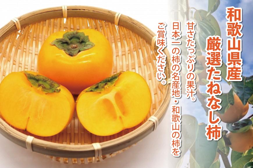 ＜10月より発送＞たねなし柿 約2.5kg［刀根早生・平核無柿（ひらたねなしかき）］［カキ・種無柿・種無し柿・種なし柿・無核柿］［IKE95］