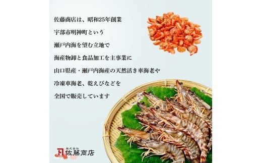 【活き〆】冷凍 足赤えび 500g 