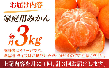 【先行予約】【数量限定】【3回定期便】【訳あり】家庭用 みかん 約3kg 詰め合わせ 柑橘【合同会社 社方園】[ZBZ023]