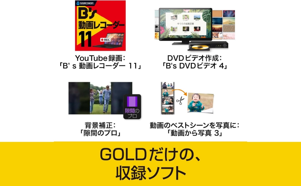 ディスク作成ソフト B's Recorder GOLD【166009】 ディスク作成 国産 品質 動画 音楽 編集 フォトムービー 形式変換 ソフト